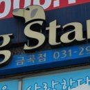 도그스타 금곡점 이미지