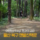 효문동주민센터 화장실 | 어싱, 땅과의 교감! 울산 북구 맨발산책로