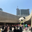 봄디자인 이미지