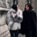 폭스(fox) 이미지