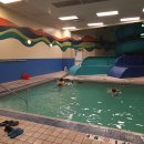 이용식농장 | 🍎 2 DAYS TRIP TO KELOWNA 캐나다 밴쿠버 워홀 (9/3~9/4) - U-Pick, Kangaroo Creek Farm, Summerhill...