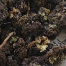 충영농장 이미지