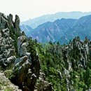 금 강  2 이미지