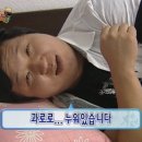 쿨쇼
