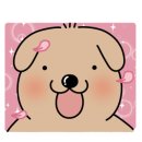 850 전망대 이미지