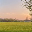 희문농장 이미지