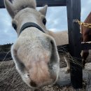 명호고등학교 이미지