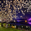 전북 4월 여행하기 좋은 곳 베스트10 가볼만한곳 꽃나들이 여행지 이미지