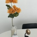스튜디오나루해오름