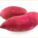 댕마카세 이미지