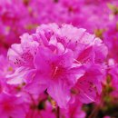 도장중학교 이미지