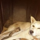 풍산농장 이미지