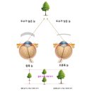 안산안경숲 이미지