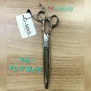 지마스 이미지