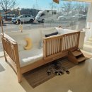 소리나무(주) | 데이베드 아기침대 숲소리 가드 원목침대 실물 후기