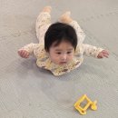 미평주공할인마트 | 노원구 키즈카페 대관 노리자리 석계역점에서 아기랑 조동모임 시간 살살 녹았잖앙