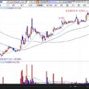 [ 진양화학-증권정보채널] 2009년 5월26일 진양화학(051630) 분석 ,투자전략 이미지