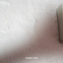 그림으로 알아보는 타로 이미지