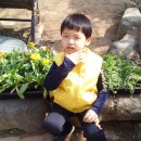 도산동주민센터 이미지