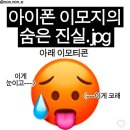 2025년 1월