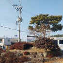 대구면사무소