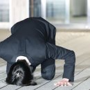 2024 신입회계사 공채 4대법인 딜 면접 후기 (3) - 안진/한영 회계법인