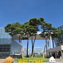 2026 천안 빵빵데이 빵지순례단 후기, 베이커리 브레도·김기덕제과점
