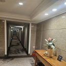 제주썬 | 제주 연동 5성급 호텔 제주썬호텔 스탠다드 트윈 내돈내산 후기