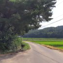 소현2리 이미지