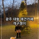 개구쟁이 애견 | 광주애견카페 대형야외잔디밭이 갖춰진 반려견이 뛰어놀기 좋은 개구쟁이