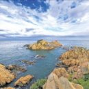 대명종합카 이미지