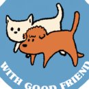 강아지분양 고양이분양 컴투펫 수원점 이미지