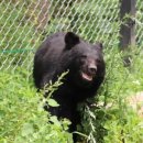 보금축산 이미지