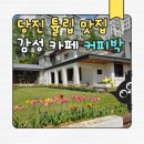 커피박 | 당진 튤립 명소 대표카페 커피박 방문 후기
