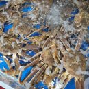 대성횟집 | 부산자갈치시장횟집 맛집 추천 - 대성횟집 방문 후기