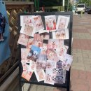 넘버원트리머 이미지