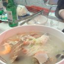 영종도 아라담 구읍뱃터 조개구이집 다녀온후기 (애견동반)