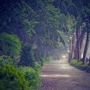 미스터밥수학학원 이미지