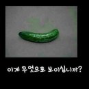 햇살이 머무는 뜨락 이미지