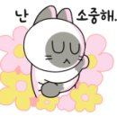 메디웍스 네이버블로그