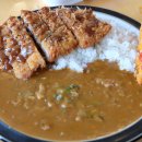 광어생각 이미지