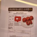 아이뜨리어린이집 | 예산 여행 예산사과빵상회 후기 특허받은 사과빵 맛은 어떨까?