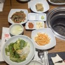 송도갈매기동탄점 이미지