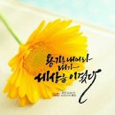 화요일 - 대덕구 | 화요일