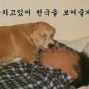 서울타이어 이미지