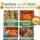 애월사랑 이미지