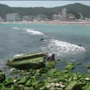 송정2천 네이버블로그