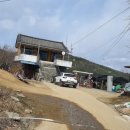 벨로체피아노 이미지