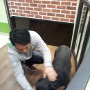 닥터 아이펫 동물병원 이미지