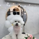 앵두미용실 이미지